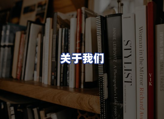 专业团队